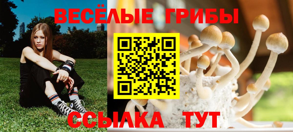 Псилоцибиновые грибы мухоморы Усинск